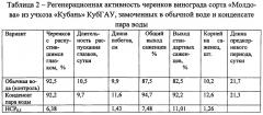Способ стимулирования укоренения черенков винограда (патент 2634280)