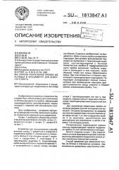 Способ извлечения пробки из колодца в фундаменте для анкерного болта (патент 1813847)