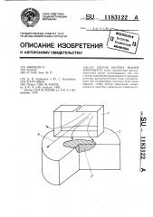 Способ нагрева тканей биообъекта (патент 1183122)