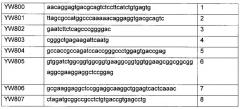 Высокостабильный т-клеточный рецептор и способ его получения и применения (патент 2645256)