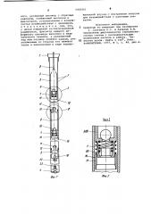 Скважинная насосная установка (патент 1002661)