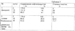 Штамм rhodococcus globerulus для разложения нефти и нефтепродуктов (патент 2299239)