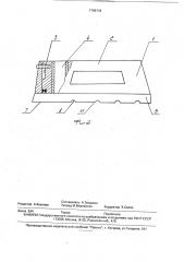 Электроутюг для отпаривания и глажения (патент 1796718)