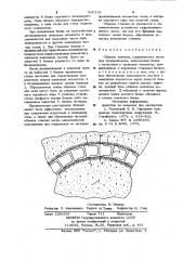Обделка тоннеля (патент 920118)