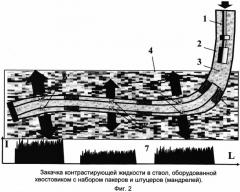 Способ определения работающих интервалов и источников обводнения в горизонтальной нефтяной скважине (патент 2490450)