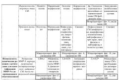 Способ моделирования остеоартроза (патент 2587039)