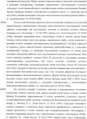 Конструкции слияния и их применение для получения антител с повышенными аффинностью связывания fc-рецептора и эффекторной функцией (патент 2407796)