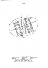 Способ разработки торфяного месторождения (патент 1059188)