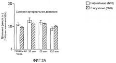 Способы, композиции и изделия, способствующие лечению рака (патент 2407527)