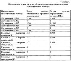 Штамм burkholderia cepacia b-7518, используемый для получения антигена для определения антител к burkholderia cepacia в биологических средах (патент 2566555)