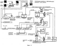 Комплексный способ производства метилового эфира ятрофы и сопутствующих продуктов (патент 2528387)