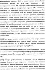 Иммуногенная композиция и способ разработки вакцины, основанной на участках матричного белка вич (патент 2403915)