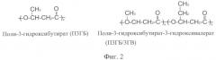 Гербицидное средство длительного действия для грунтового применения (патент 2494621)