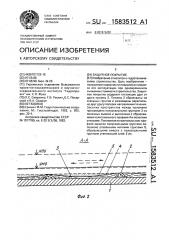 Защитное покрытие (патент 1583512)