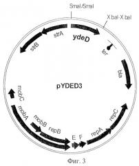 Способ получения инозина и 5'-инозиновой кислоты, штамм escherichia coli - продуцент инозина (патент 2244004)