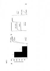 Мутантный канальный родопсин-2 (патент 2595384)