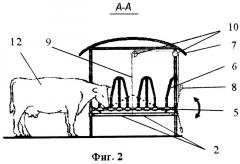 Самокормушка-станок (патент 2269260)