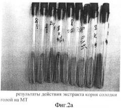 Экстракт солодки голой, обладающий противотуберкулезной активностью (патент 2362577)