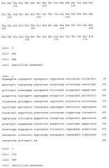 Новая эндо-(1-4)- -d-ксиланаза из penicillium canescens (варианты), фрагмент днк, кодирующий секретируемую эндо-(1-4)- -d-ксиланазу из penicillium canescens (варианты), и способ ее получения (патент 2412246)