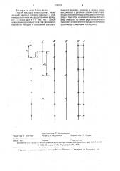 Способ закладки виноградника (патент 1789128)