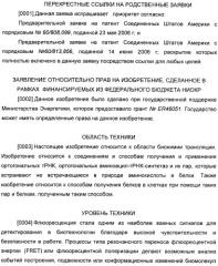 Генетически кодируемые флюоресцентные кумариновые аминокислоты (патент 2473690)