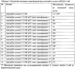 Применение штамма мицелиального гриба aspergillus awamori в качестве реципиента для конструирования продуцентов целевых ферментов (патент 2621279)