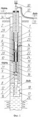Скважинная штанговая насосная установка (патент 2459116)