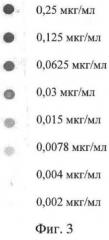 Штамм гибридных клеток животных mus musculus 5g6 - продуцент моноклональных антител, специфичных к v антигену yersinia pestis (патент 2478703)