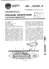 Полупогруженный ледокол (патент 1031844)