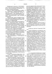 Термостатирующее устройство (патент 1739176)