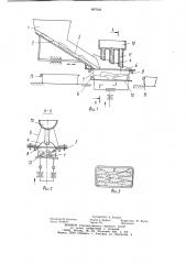 Устройство для укладки рыбы в тару (патент 897646)
