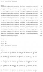 Новая эндо-(1-4)- -d-ксиланаза из penicillium canescens (варианты), фрагмент днк, кодирующий секретируемую эндо-(1-4)- -d-ксиланазу из penicillium canescens (варианты), и способ ее получения (патент 2412246)