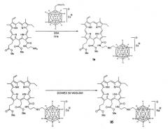 Производные 13(1)-n-{2-[n-(клозо-монокарбадодекаборан-1-ил)-метил]аминоэтил}амид-15(2),17(3)-диметилового эфира хлорина e6, проявляющие свойства фотосенсибилизатора (патент 2406726)