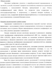 Бактерия, принадлежащая к роду pantoea, - продуцент l-аспартата или метаболита, являющегося производным l-аспартата, и способ получения l-аспартата или метаболита, являющегося производным l-аспартата (патент 2411289)