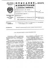 Рабочая камера хлебопекарной печи (патент 655375)