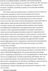 Производные 2,3,4,9-тетрагидро-1h-карбазола в качестве антагонистов рецептора crth2 (патент 2404163)