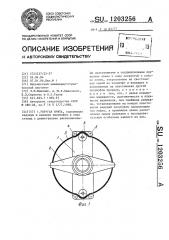 Упругая муфта (патент 1203256)