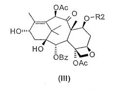 Полусинтетический способ получения n-дебензоилпаклитаксела (патент 2302415)