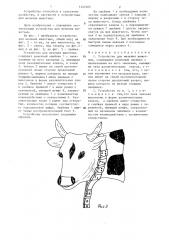 Устройство для мечения животных (патент 1342465)