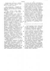 Герметизирующая пробка тюбинговой обделки (патент 1352066)