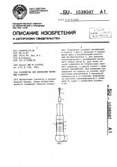 Устройство для измерения линейных размеров (патент 1539507)