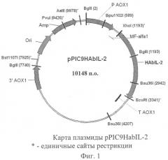 Штамм дрожжей pichia pastoris ps107(ppic9habil-2), являющийся продуцентом гибридного белка, состоящего из альбумина плазмы крови человека и интерлейкина-2 человека, рекомбинантная плазмида ppic9habil-2 и способ ее конструирования (патент 2315105)