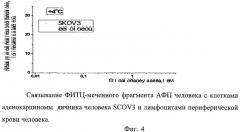 Способ получения активного фрагмента альфа-фетопротеина человека (патент 2448116)