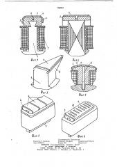Полюс электрической машины (патент 764043)