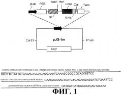 Фрагменты антитела, специфичные в отношении человеческого раково-эмбрионального антигена (cea) (патент 2294939)
