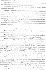 Чипы на основе антител для определения множественных трансдукторов сигналов в редких циркулирующих клетках (патент 2442171)