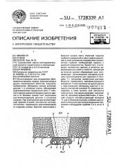 Облицовка канала (патент 1728339)