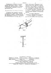 Устройство для удержания тампонов с препаратами в шейке матки (патент 923554)