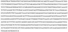 Штамм микроскопического гриба fusarium equiseti, содержащий биологически активные вещества, проявляющие противоопухолевую и противовирусную активность (патент 2664252)