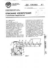 Пресс для отжима сока (патент 1381003)